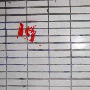 375150--bullshit--june-2017_35584716576_o