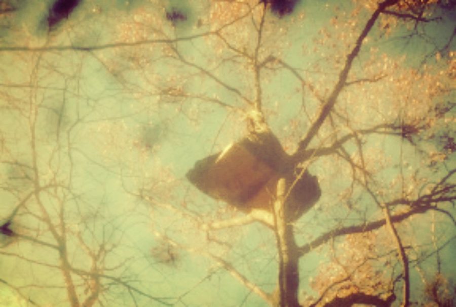treesit