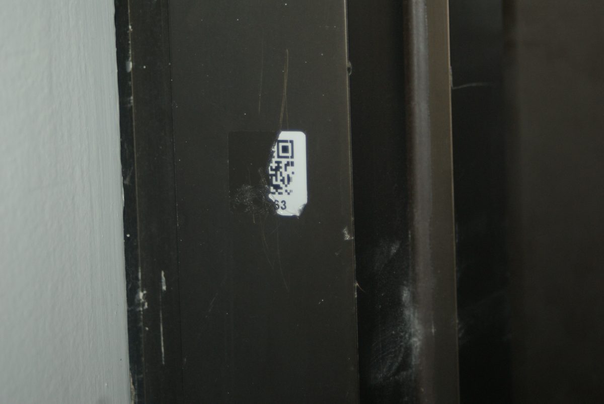 photo5