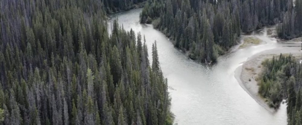 coastal-1200x499-1-1000x416-1