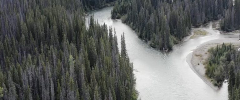coastal-768x320-1