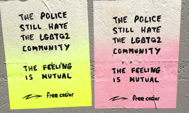 Solidarity Statement with Cedar Hopperton and the Radical Queer Community in Hamilton