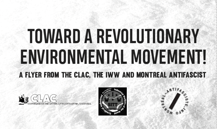 Toward a Revolutionary Environmental Movement