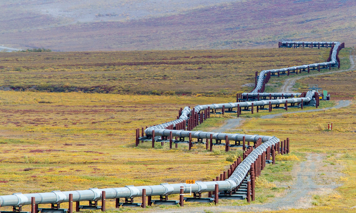 Alberta: Reportback on Pipeline Sabotage Behind Enemy Lines
