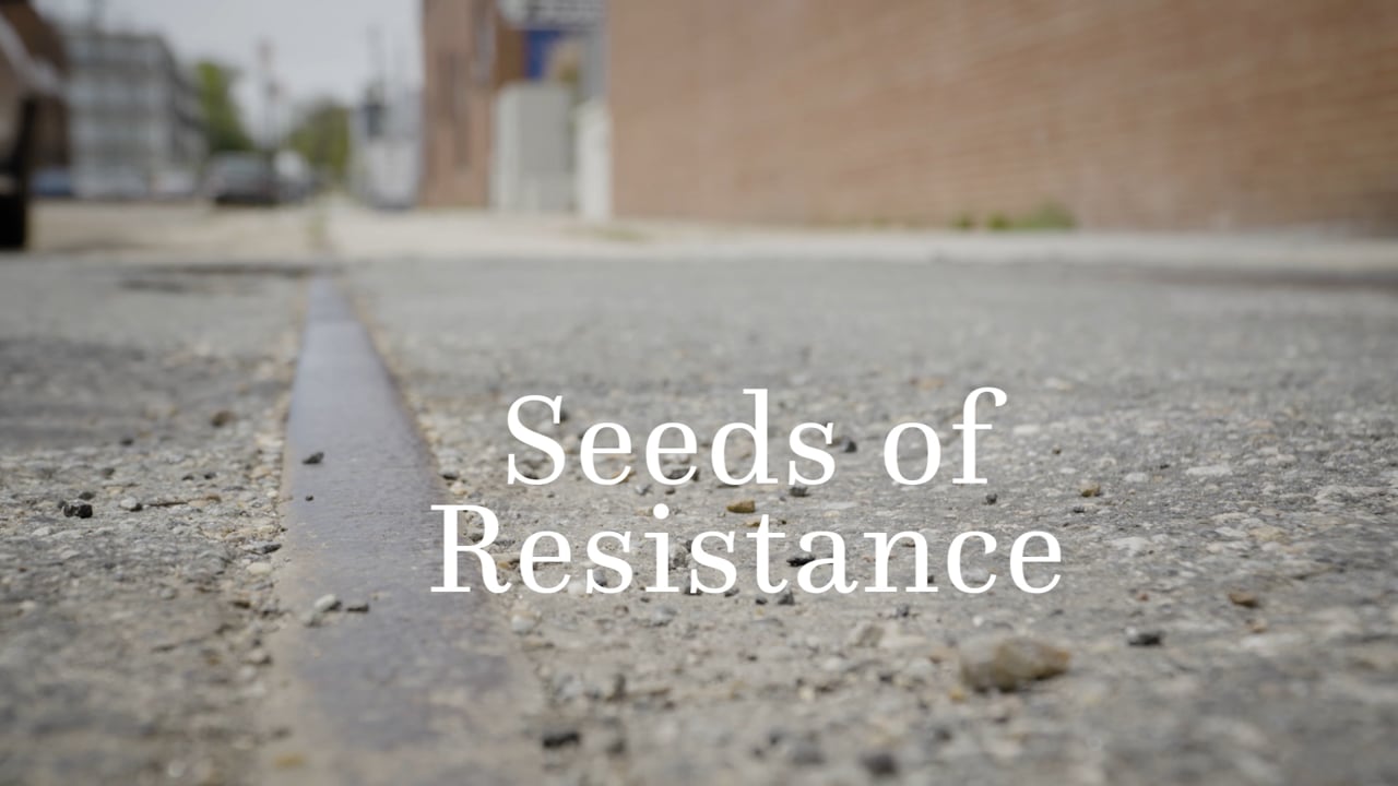 Seeds of Resistance: a new resource for land defense