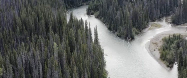 Protect the Headwaters! Wet’suwet’en Resist Coastal Gaslink