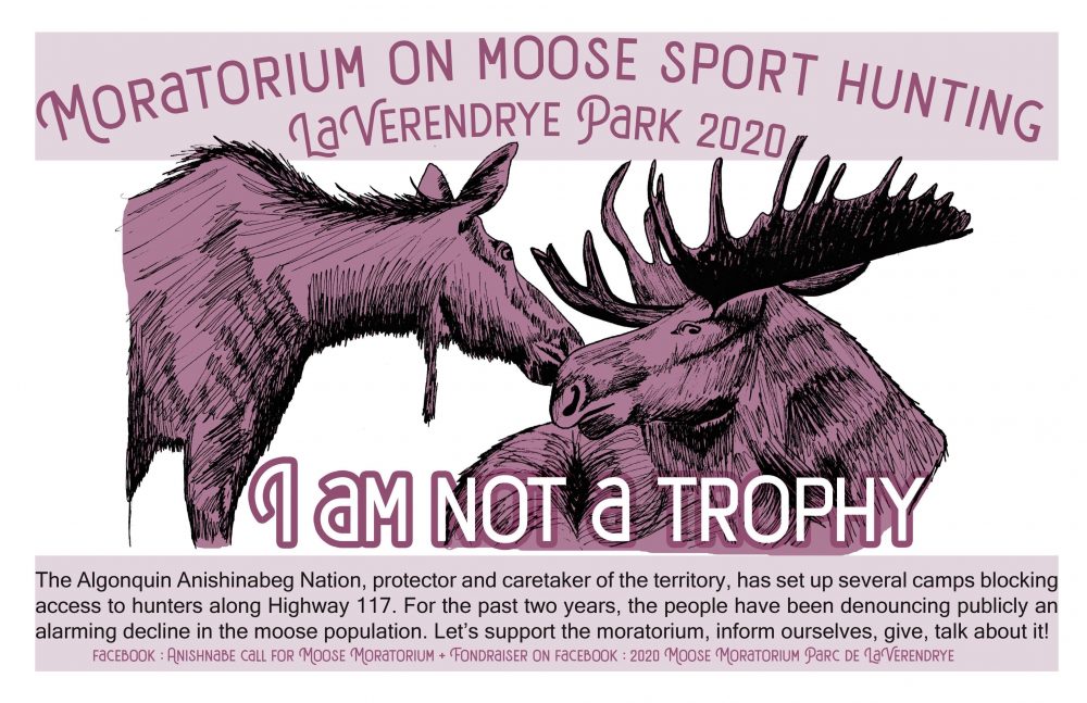 Poster: Support the Anishnabe call for a Moose Moratorium in Parc La Vérendrye