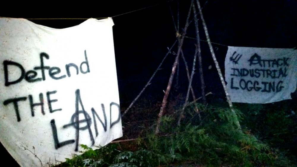Autonomous Blockade Against Logging Launched on So-Called Vancouver Island