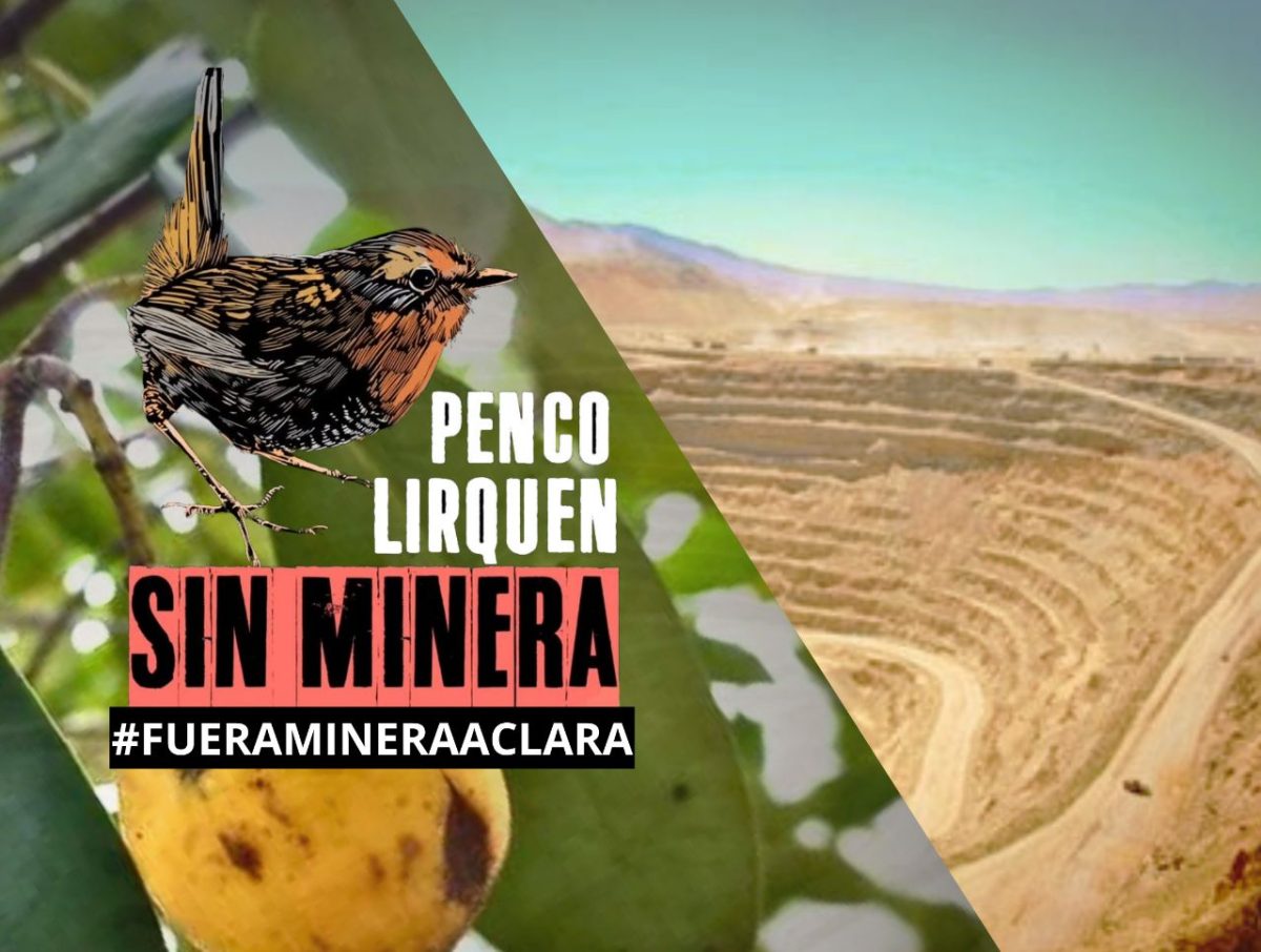 Call to Action Against the Canadian Mining Company Aclara: #FueraMineraAclara