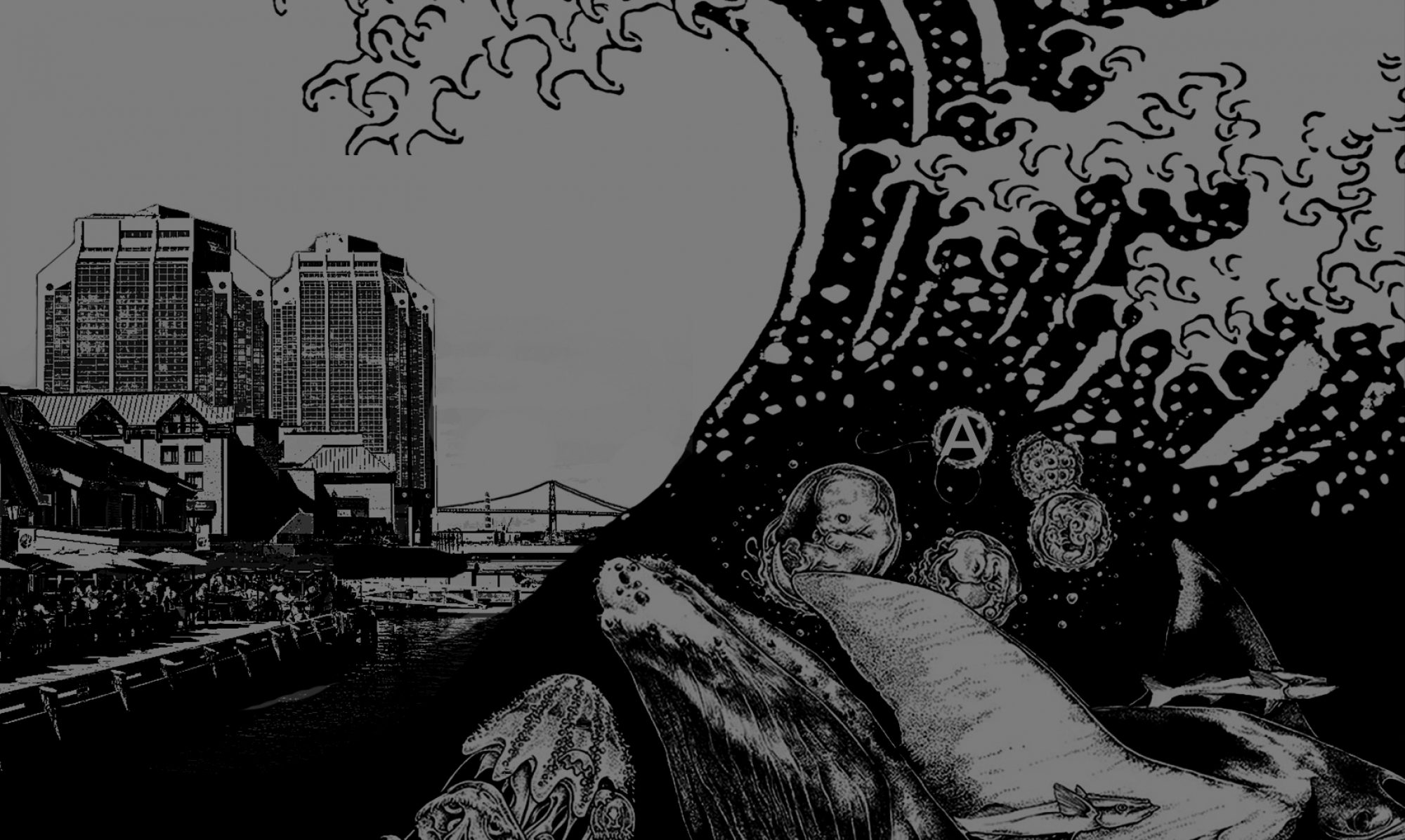 Announcing the 9th Annual Halifax Anarchist Bookfair